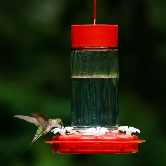 Scarlet Swirl Gravity Hummingbird Feeder - 20 oz (Model# TGF4)