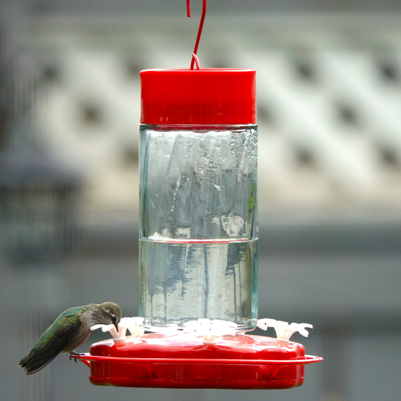 Load image into Gallery viewer, Scarlet Swirl Gravity Hummingbird Feeder - 20 oz (Model# TGF4)
