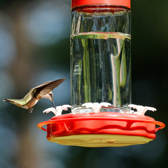 Scarlet Swirl Gravity Hummingbird Feeder - 20 oz (Model