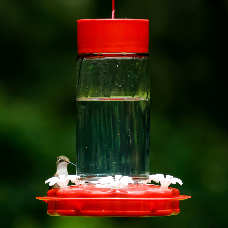 Load image into Gallery viewer, Scarlet Swirl Gravity Hummingbird Feeder - 20 oz (Model# TGF4)
