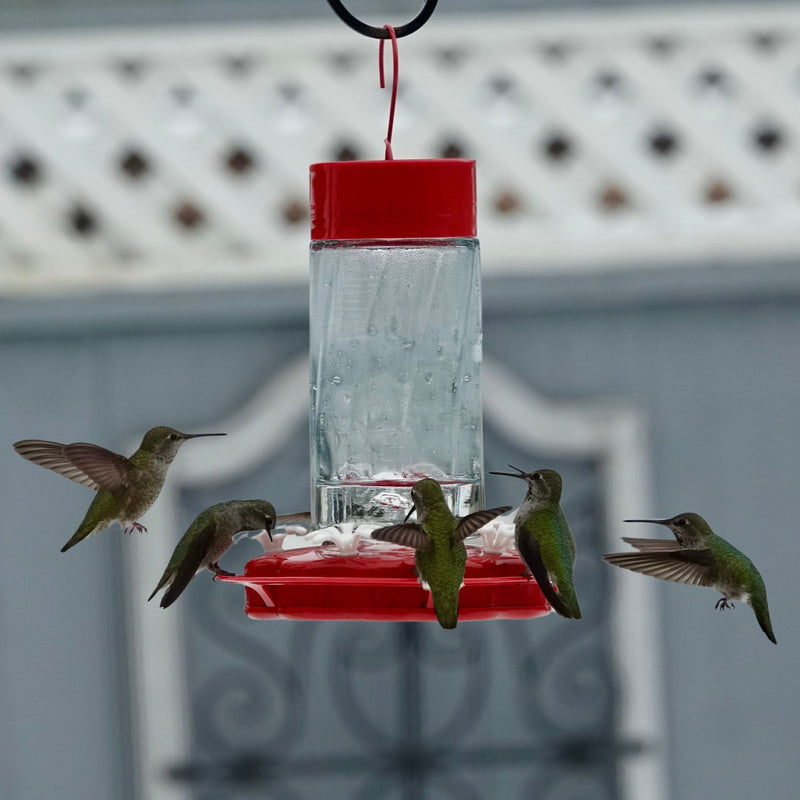 Load image into Gallery viewer, Scarlet Swirl Glass Gravity Hummingbird Feeder
