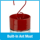 Scarlet Swirl Gravity Hummingbird Feeder - 20 oz (Model# TGF4)