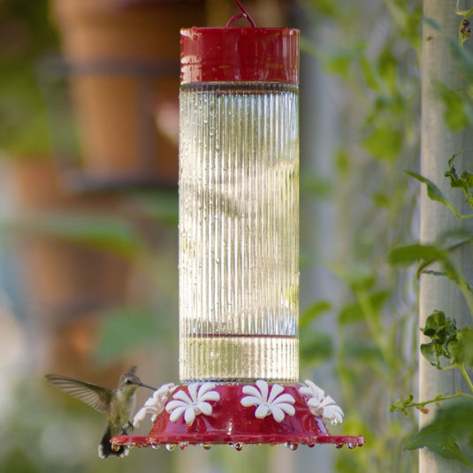 Ribbed Rose Gravity Hummingbird Feeder - 28 oz (Model