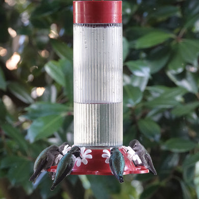 Ribbed Rose Gravity Hummingbird Feeder