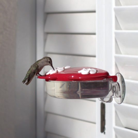 Traditional Window Hummingbird Feeder