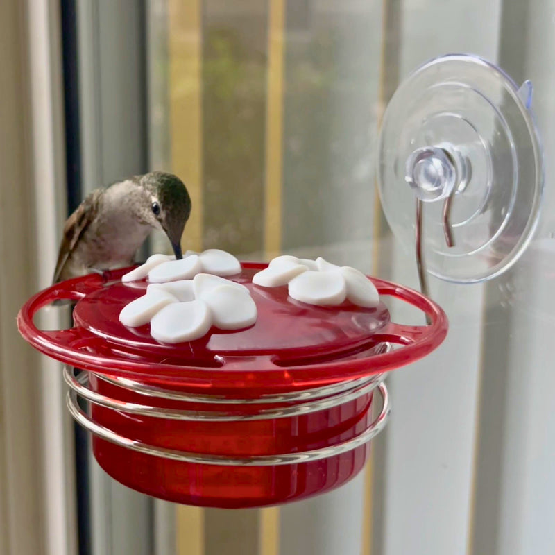 Load image into Gallery viewer, 3-Pack Petite Plastic Window and Handheld Hummingbird Feeder
