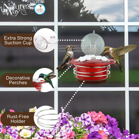 3-Pack Petite Plastic Window and Handheld Hummingbird Feeder