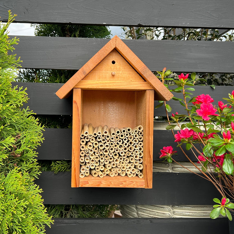 Load image into Gallery viewer, Spring Natural Reeds for Mason Bees - 8mm
