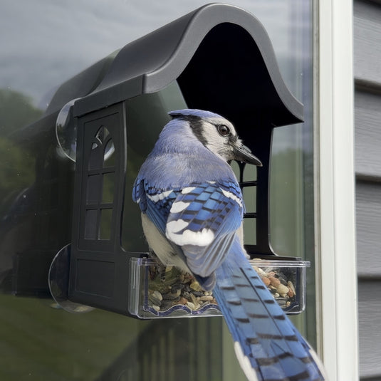 Garden View Window Bird Feeder