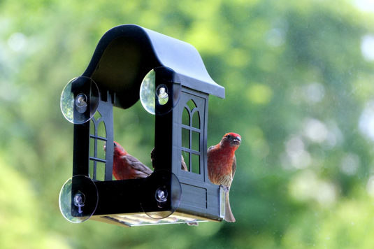 *NEW* Get the best view of your birds