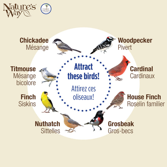 Wide Deluxe Funnel Flip-Top Tube Feeder