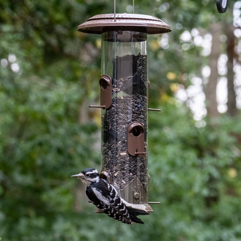 Load image into Gallery viewer, Wide Deluxe Funnel Flip-Top Tube Feeder
