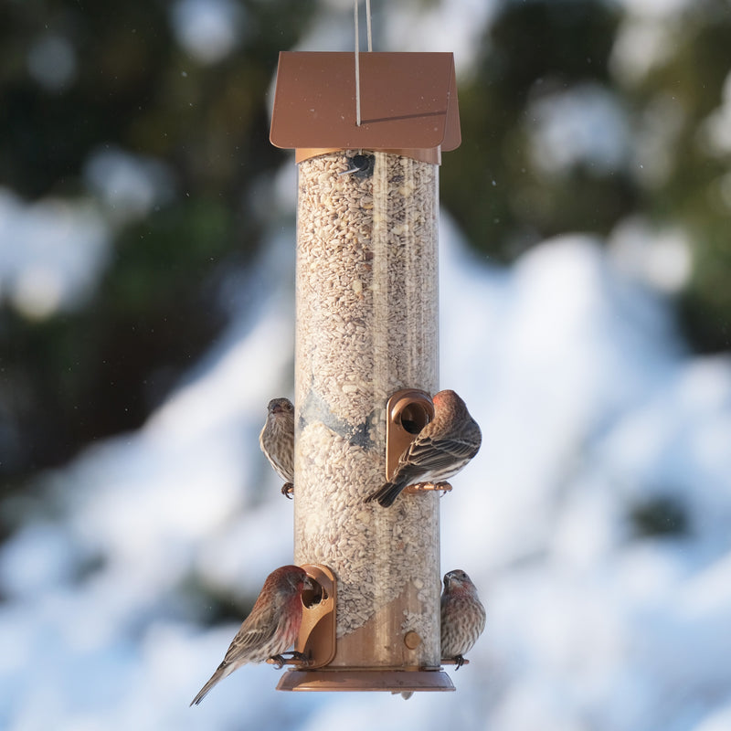 Load image into Gallery viewer, Wide Deluxe Easy Clean Tube Feeder
