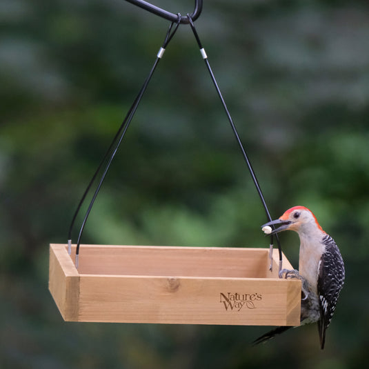 Cedar Hanging Platform Feeder