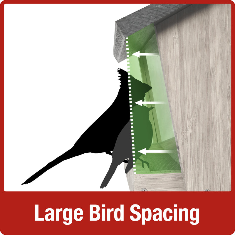 Load image into Gallery viewer, 3 QT Hopper Feeder w/ 2 Suet Cages
