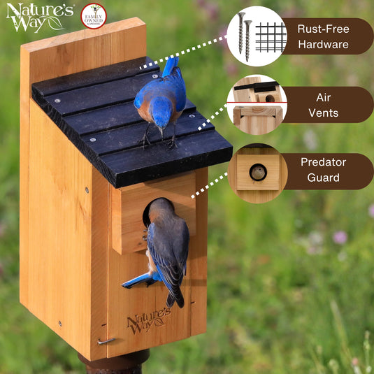 Cedar Bluebird Box House with Clean-Out Door and Predator Guard