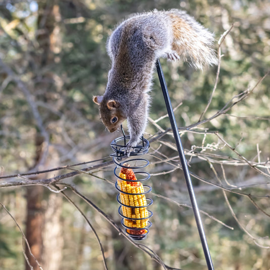 Metal Critter Corn Feeder