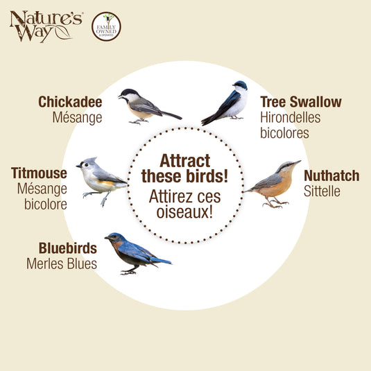 Olive Blossoms Decorative Bluebird House