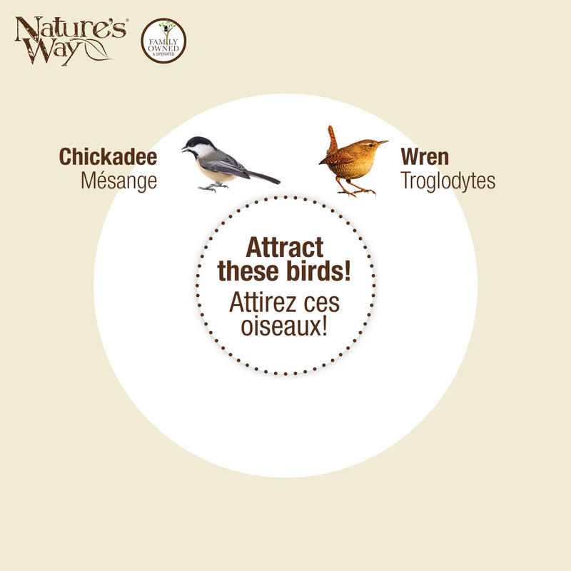 Load image into Gallery viewer, Springwood Daisy Decorative Wren House
