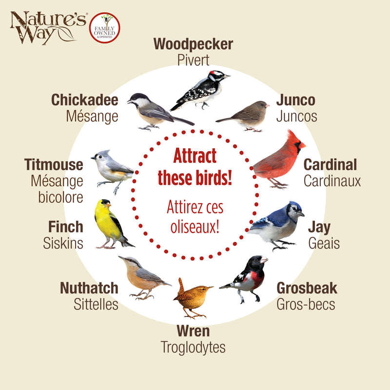 Load image into Gallery viewer, Farmhouse Cedar Hopper Feeder with Suet Cages
