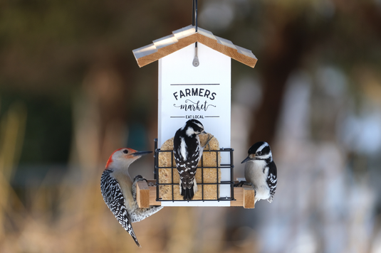 Fall migration is happening now!