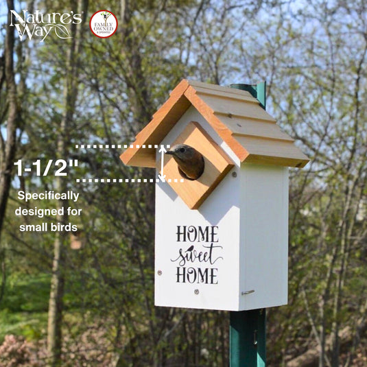 Farmhouse Cedar Bluebird House