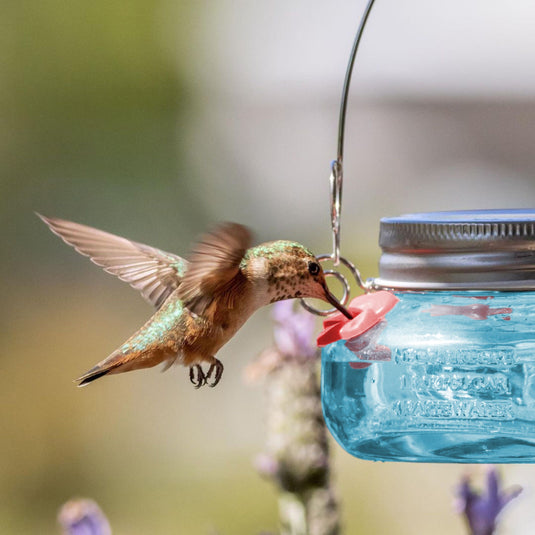 Antique Teal Mason Jar Glass Top-Fill Dish Hummingbird Feeder