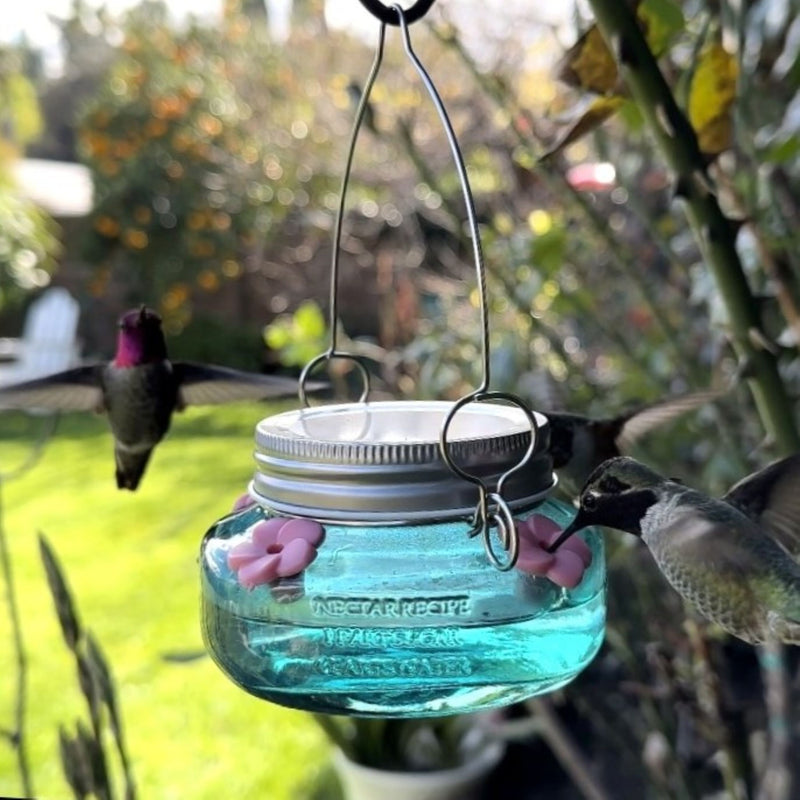 Load image into Gallery viewer, Antique Teal Mason Jar Glass Top-Fill Dish Hummingbird Feeder
