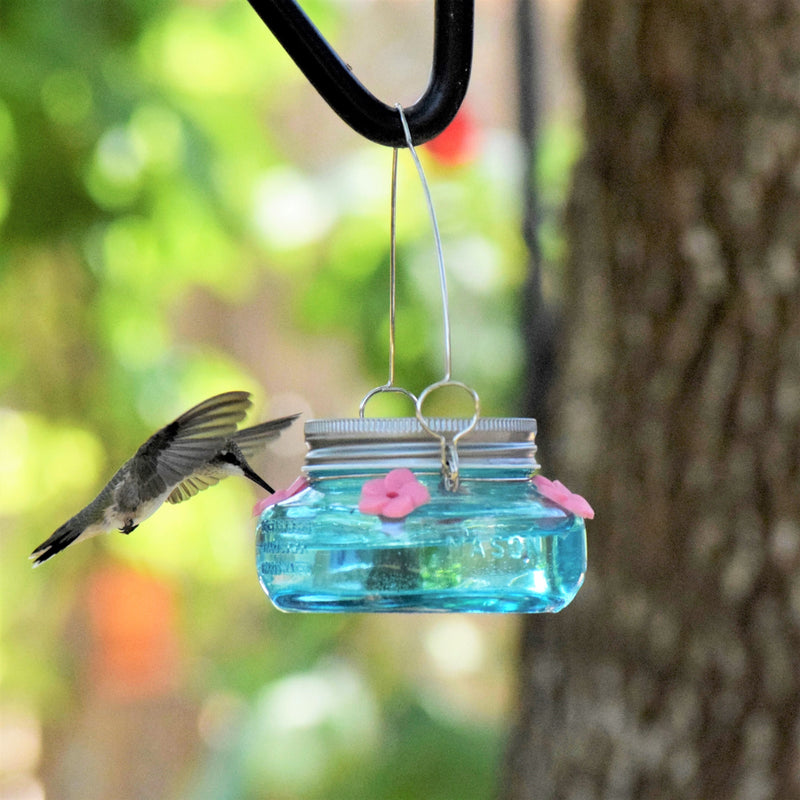 Load image into Gallery viewer, Antique Teal Mason Jar Glass Top-Fill Dish Hummingbird Feeder
