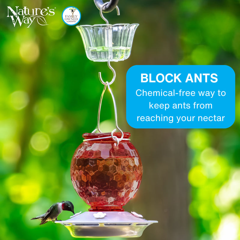 Load image into Gallery viewer, Clear Hummingbird Feeder Ant Moat
