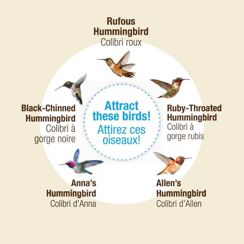 Load image into Gallery viewer, Nectar Series™  Clear Hummingbird Nectar Powder Concentrate, 2 lb
