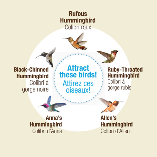 Nectar Series™  Clear Hummingbird Nectar Powder Concentrate, 2 lb