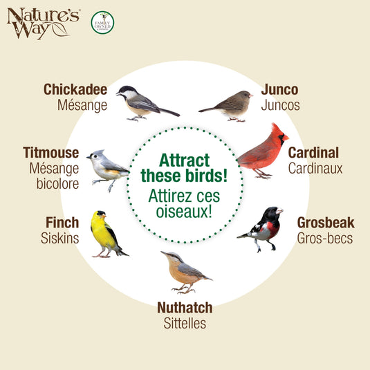 Large Plastic Tube Bird Feeder - Black