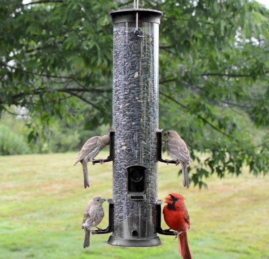 Large Plastic Tube Bird Feeder - Black
