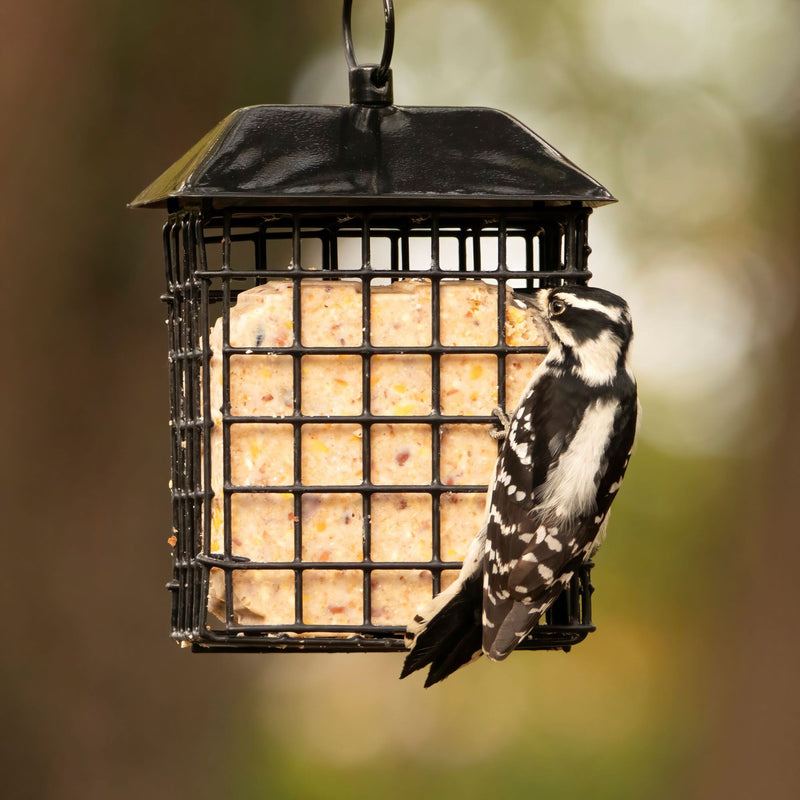 Load image into Gallery viewer, Metal Two Cake Suet Cage Bird Feeder w/ Roof - Two Cake
