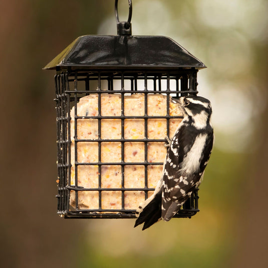 Metal Two Cake Suet Cage Bird Feeder w/ Roof - Two Cake