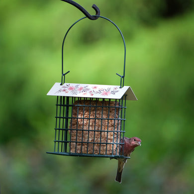 Decorative Suet Cage Bird Feeder - Single Cake