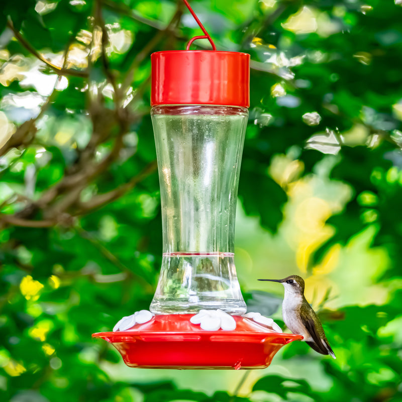 Load image into Gallery viewer, Scarlet Silhouette Glass Gravity Hummingbird Feeder
