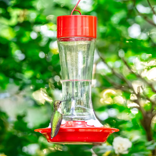 Scarlet Silhouette Glass Gravity Hummingbird Feeder