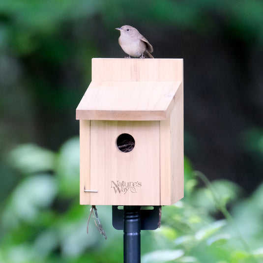 Box Wren House