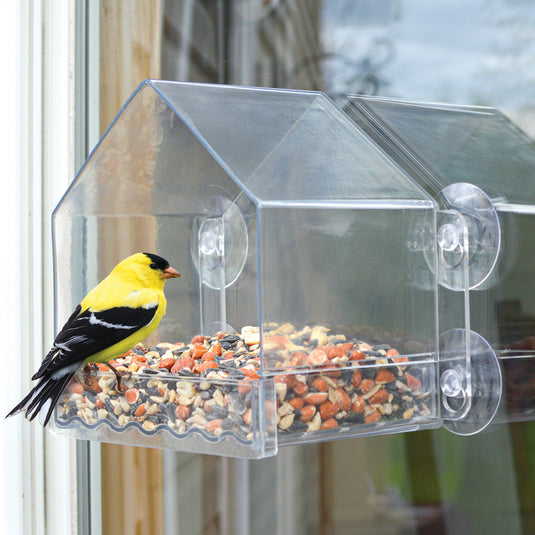 Clear View Window Feeder