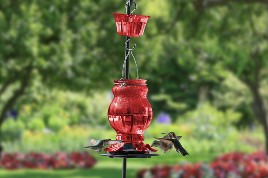 A best-in-glass hummingbird feeder