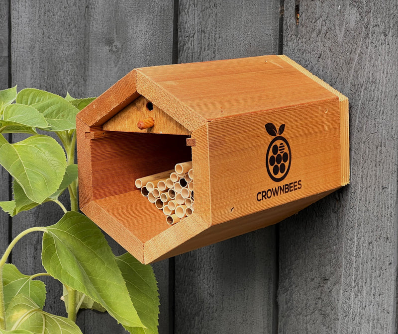 Load image into Gallery viewer, Cabana Bee House &amp; Complete Kit with Bee Certificate
