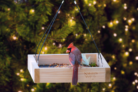 Choose the perfect gift