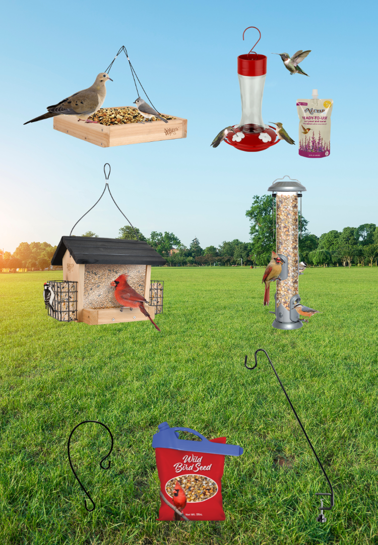 Subscribe to email and win $150+