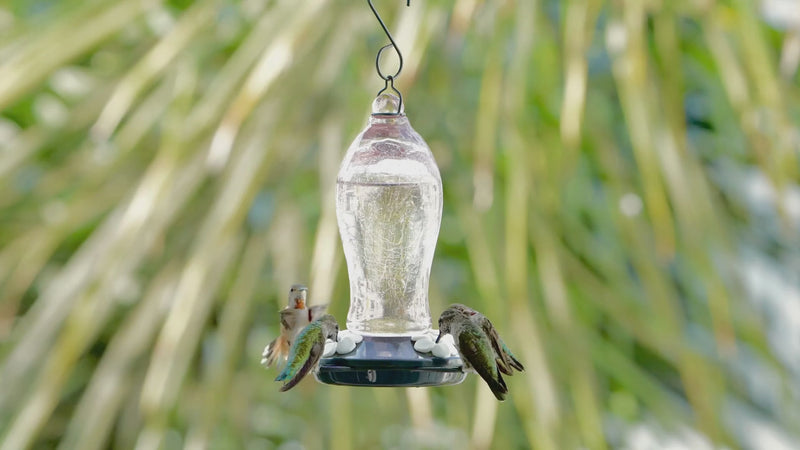 Load and play video in Gallery viewer, Blush Crackle Artisan Glass Gravity Hummingbird Feeder
