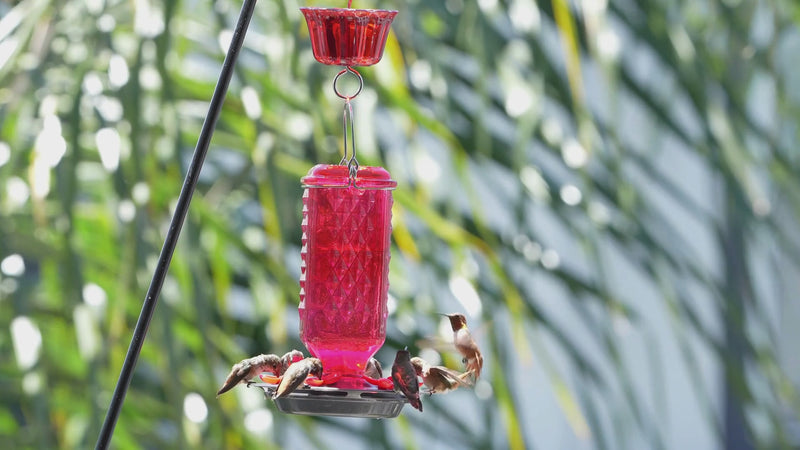 Load and play video in Gallery viewer, Poppy Column Antique Hummingbird Gravity Feeder
