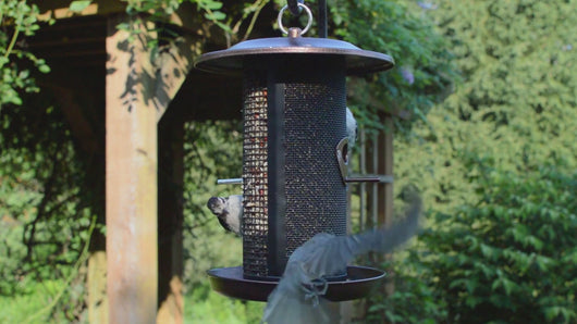 KMESH-5 Beloved Bronze Dual-Chamber Metal Mesh Bird Feeder
