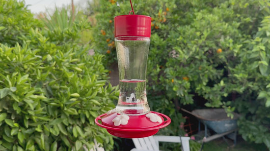 WWTGF6 Scarlet Silhouette Gravity Hummingbird Feeder