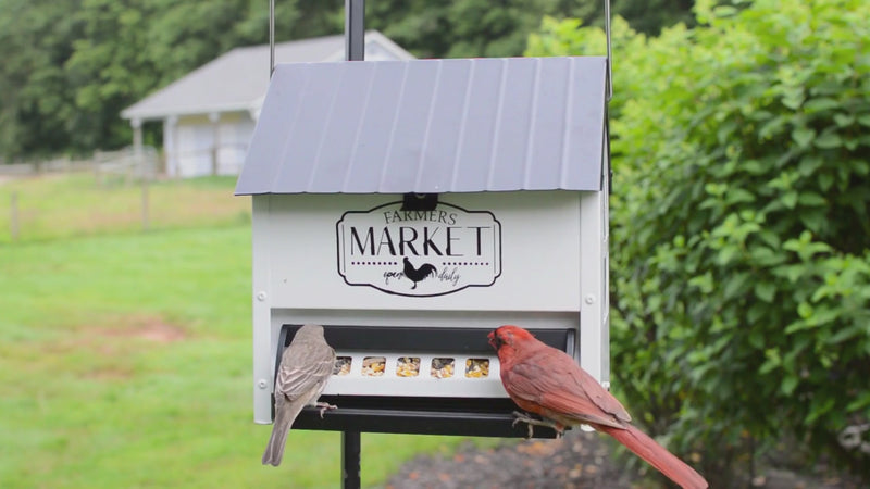 Load and play video in Gallery viewer, Squirrel Shield Hopper Feeder | Squirrel Proof Bird Feeders | Nature&#39;s Way Bird Products
